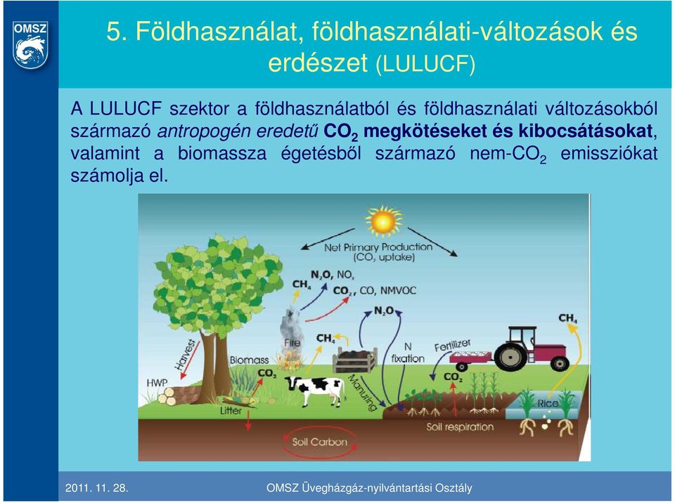 származó antropogén eredető CO 2 megkötéseket és kibocsátásokat,