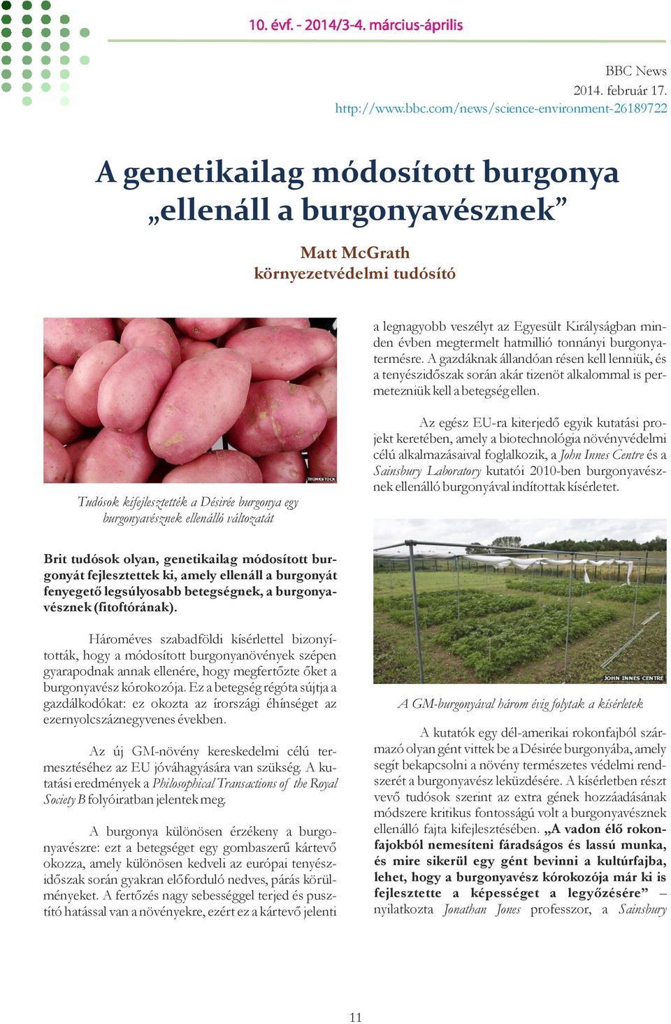 megtermelt hatmillió tonnányi burgonyatermésre. A gazdáknak állandóan résen kell lenniük, és a tenyészidőszak során akár tizenöt alkalommal is permetezniük kell a betegség ellen.