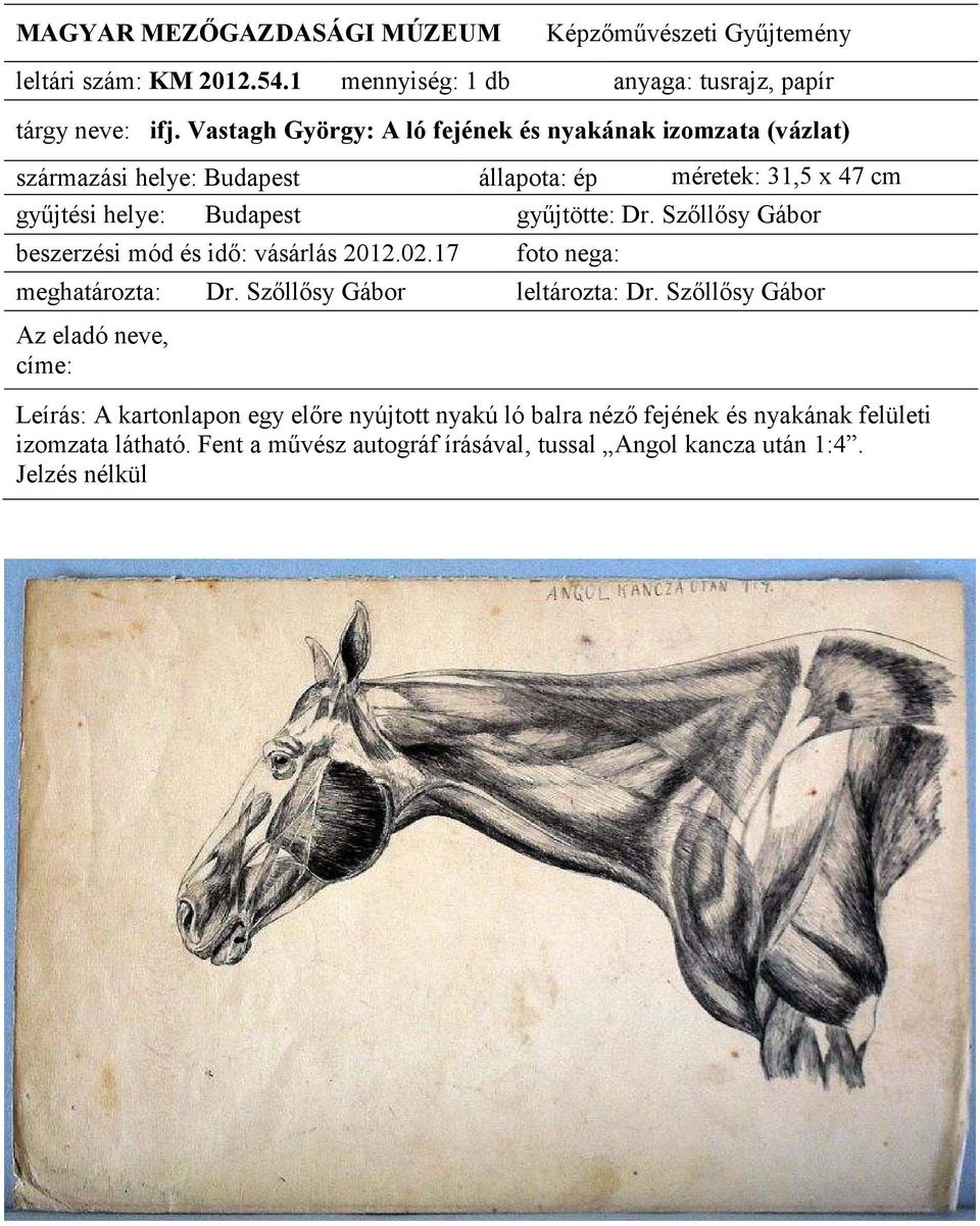 állapota: ép méretek: 31,5 x 47 Leírás: A kartonlapon egy elıre nyújtott nyakú ló balra nézı