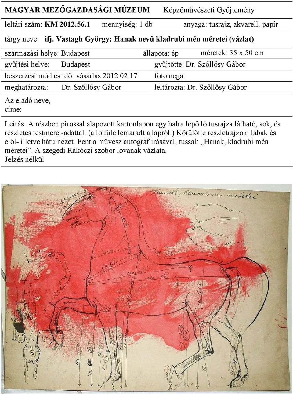 pirossal alapozott kartonlapon egy balra lépı ló tusrajza látható, sok, és részletes testméret-adattal. (a ló füle lemaradt a lapról.