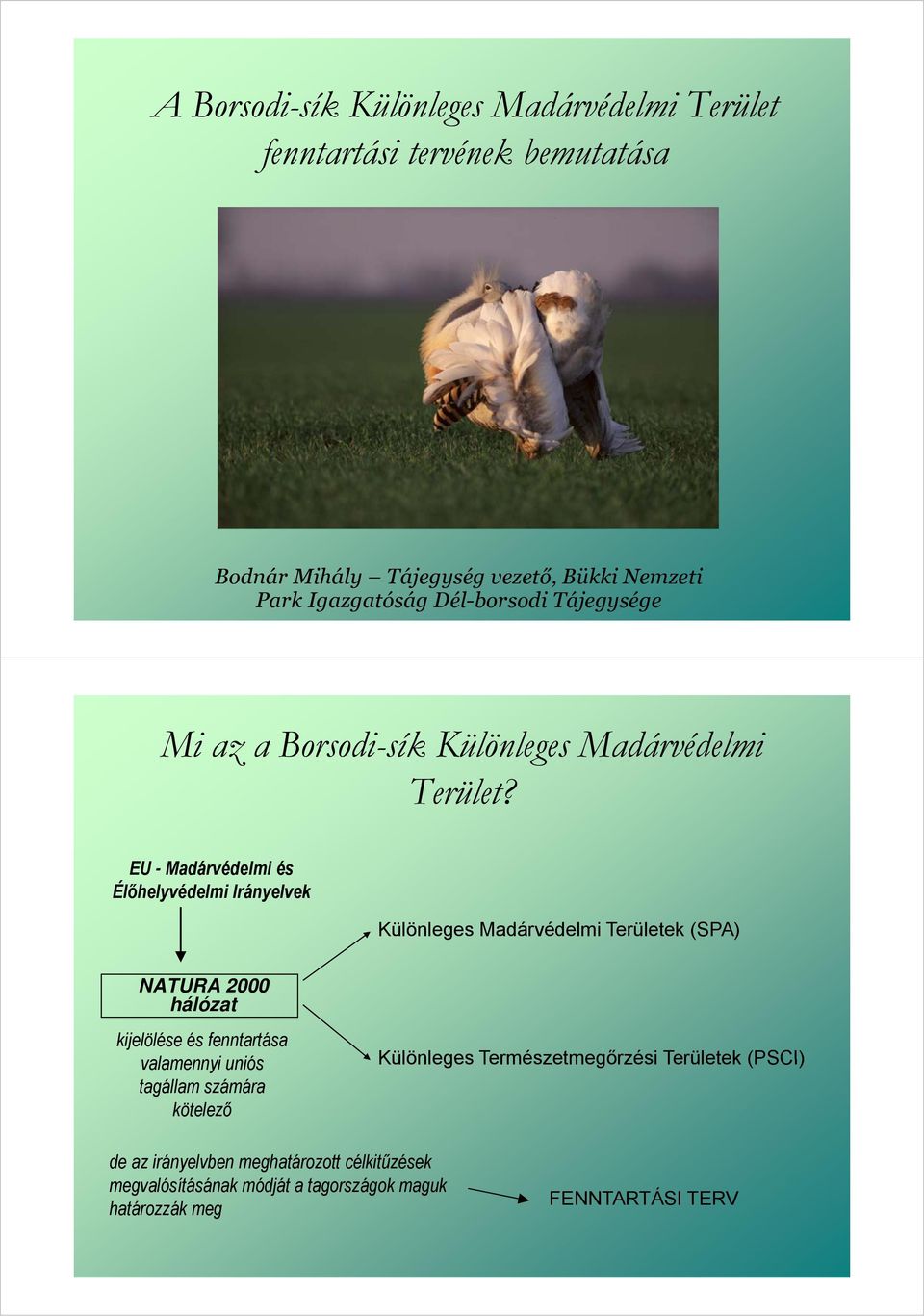 EU - Madárvédelmi és Élőhelyvédelmi Irányelvek Különleges Madárvédelmi Területek (SPA) NATURA 2000 hálózat kijelölése és fenntartása