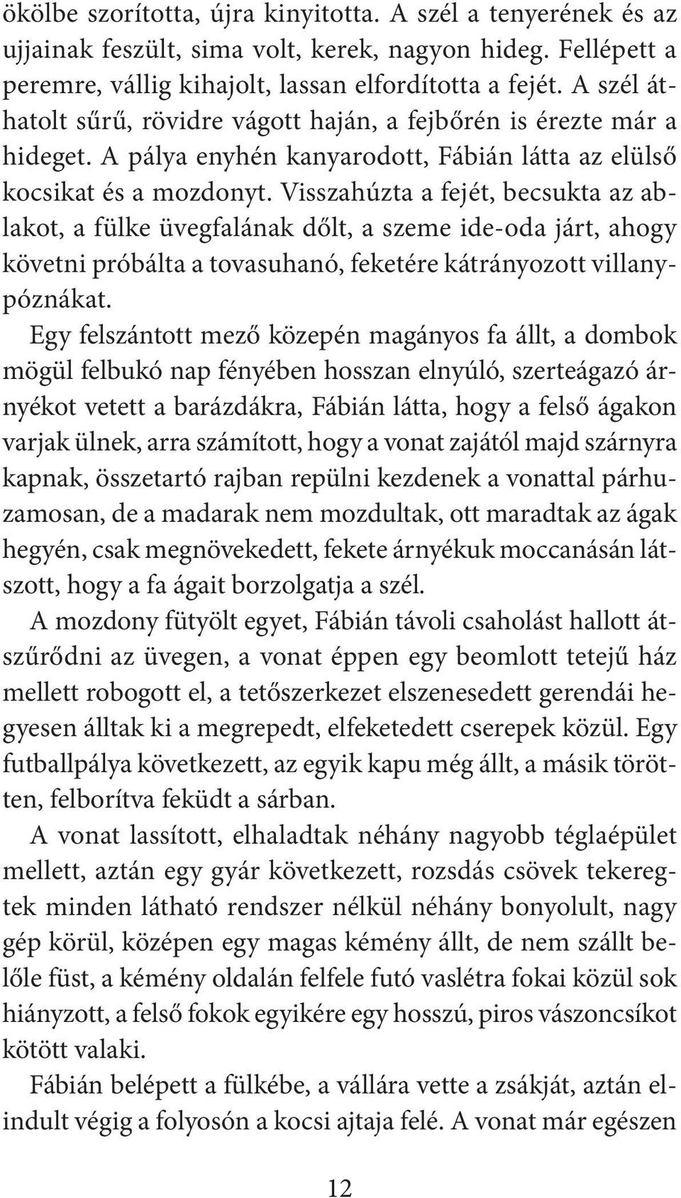 Visszahúzta a fejét, becsukta az ablakot, a fülke üvegfalának dőlt, a szeme ide-oda járt, ahogy követni próbálta a tovasuhanó, feketére kátrányozott villanypóznákat.