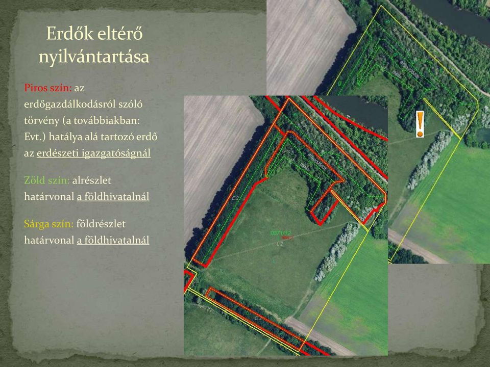 ) hatálya alá tartozó erdő az erdészeti igazgatóságnál Zöld