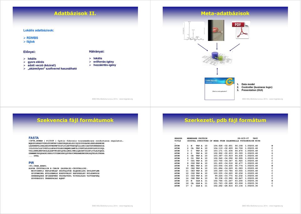 Presentation (GUI) Szekvencia fájl formátumok Szerkezeti, pdb fájl formátum FASTA >CFTR_HUMAN P13569 Cystic fibrosis transmembrane conductance regulator