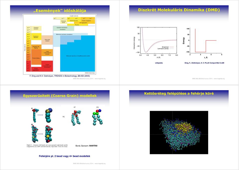 PLoS Comput Biol 2:e85 F. Ding and N.V.