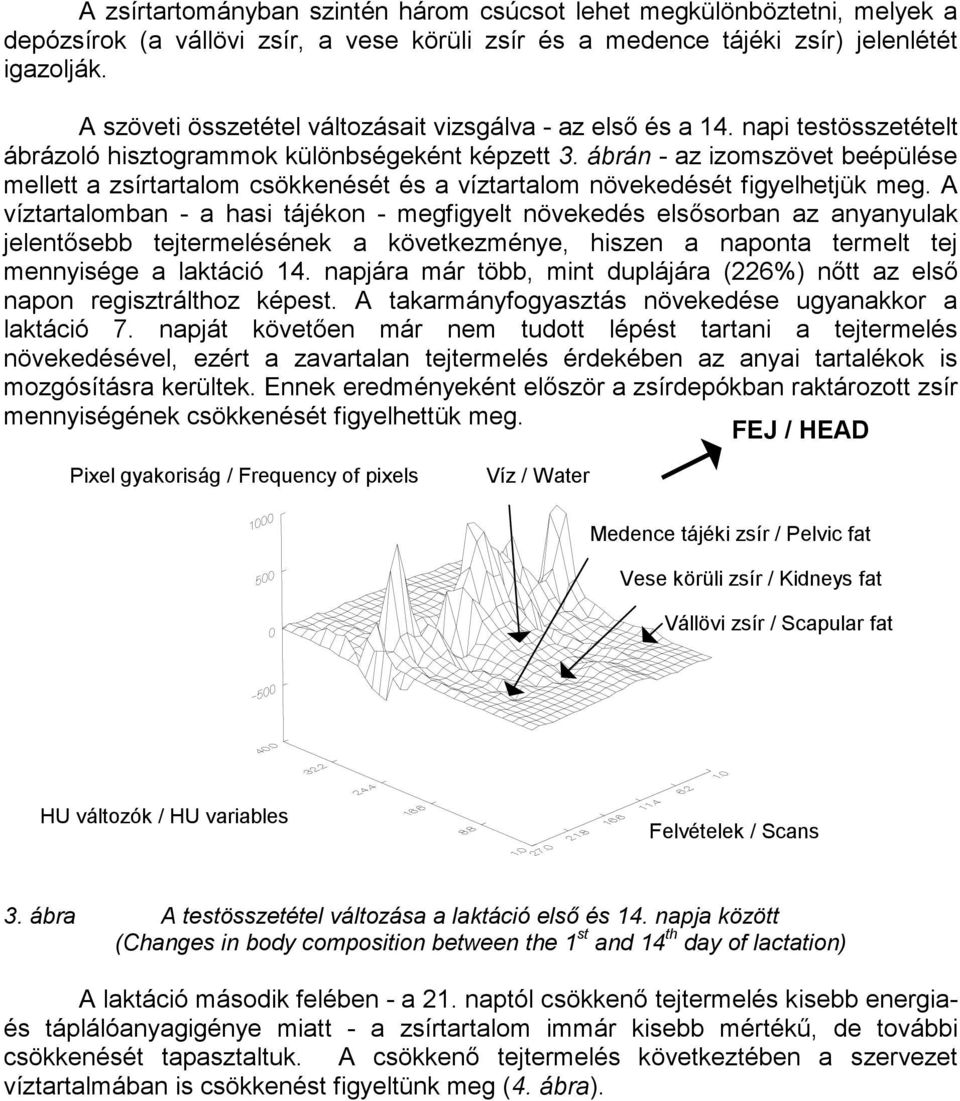 ábrán - az izomszövet beépülése mellett a zsírtartalom csökkenését és a víztartalom növekedését figyelhetjük meg.