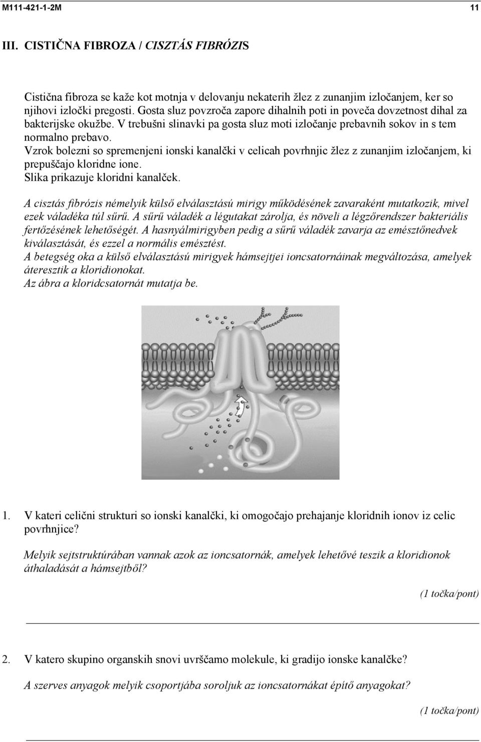 Vzrok bolezni so spremenjeni ionski kanalčki v celicah povrhnjic žlez z zunanjim izločanjem, ki prepuščajo kloridne ione. Slika prikazuje kloridni kanalček.