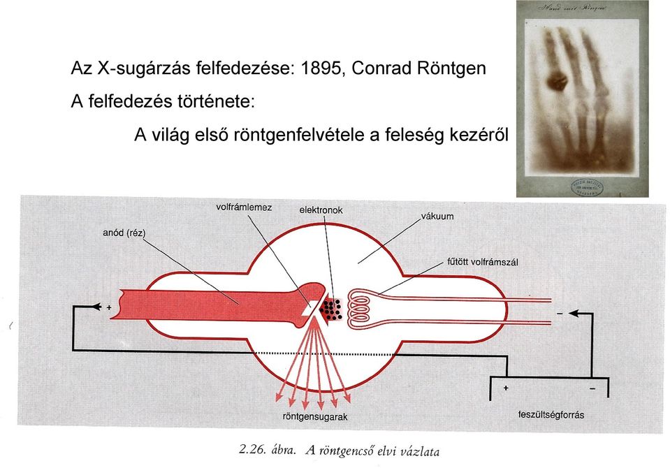 felfedezés története: A világ