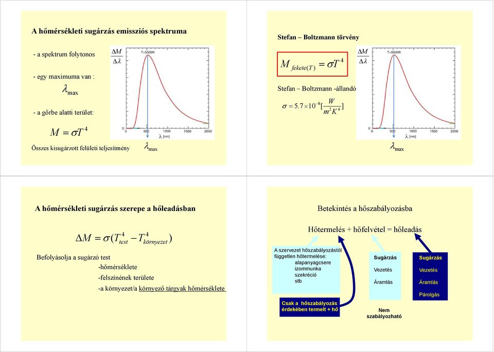 7 10 [ ] 2 4 m K Δ Δλ = σt Összes kisugárzott felületi teljesítmény 4 λ max λ λ max A hőmérsékleti sugárzás szerepe a hőleadásban Δ 4 4 = σ ( T test T környezet ) Befolyásolja a sugárzó