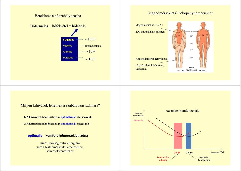1/ A környezeti hőmérséklet az optimálisnál alacsonyabb 2/ A környezeti hőmérséklet az optimálisnál magasabb energiafelhasználás hőtermelés Az ember komfortzónája optimális