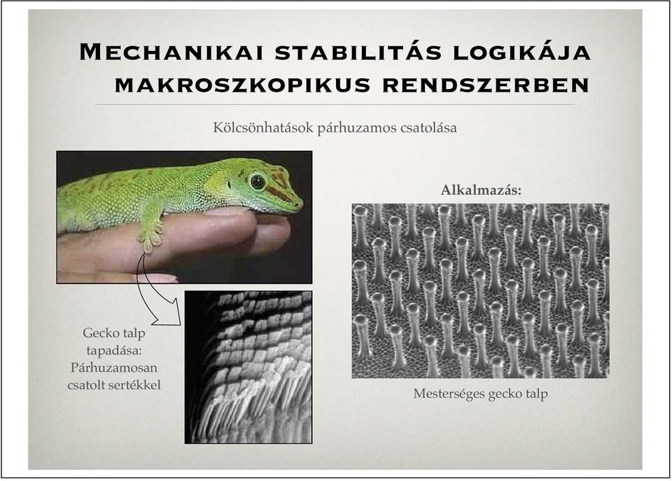 párhuzamos csatolása Alkalmazás: Gecko talp