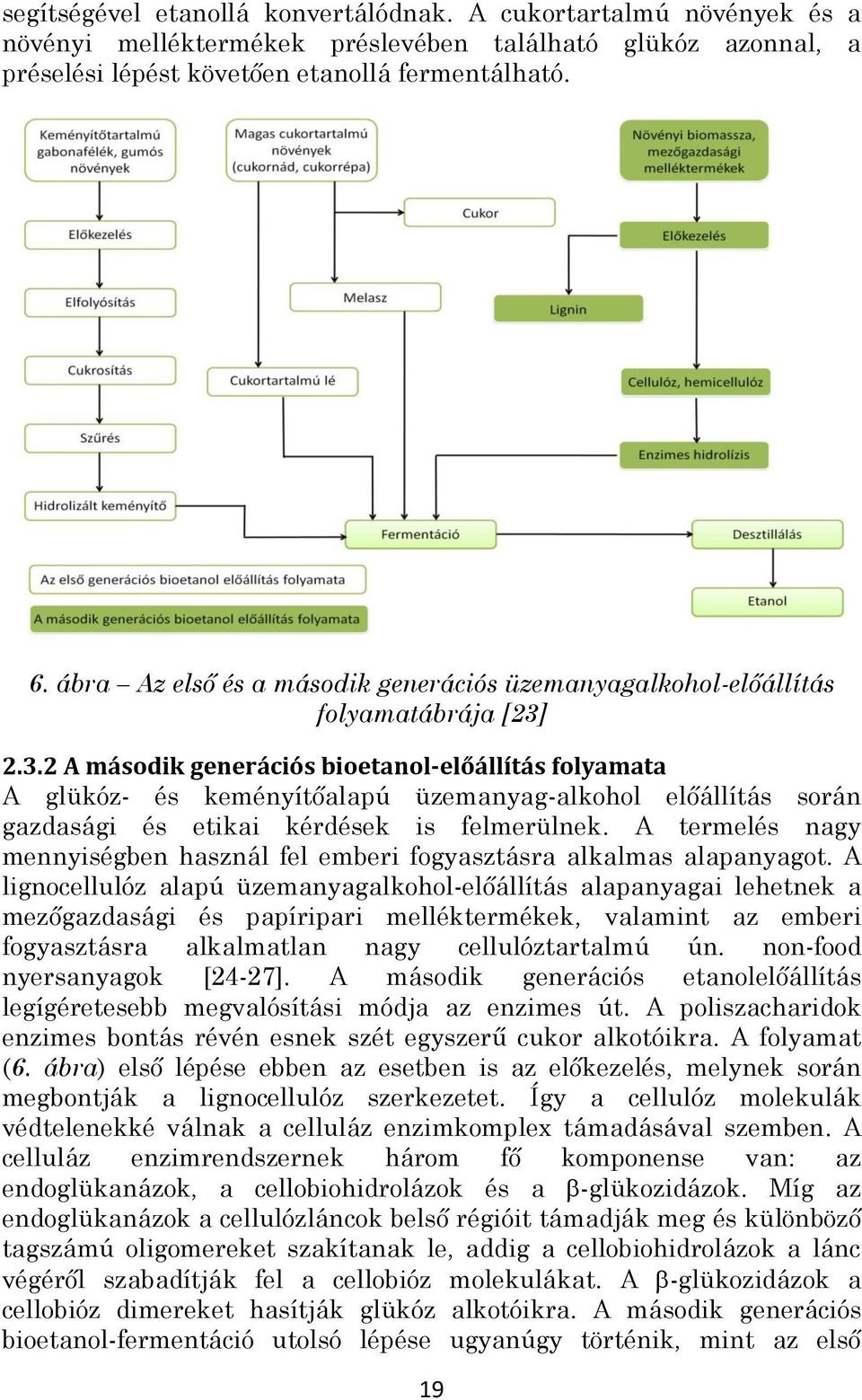 2.3.2 A második generációs bioetanol-előállítás folyamata A glükóz- és keményítőalapú üzemanyag-alkohol előállítás során gazdasági és etikai kérdések is felmerülnek.