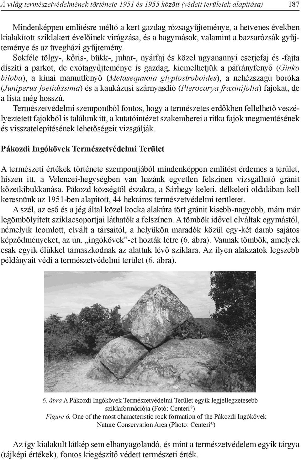 Sokféle tölgy-, kőris-, bükk-, juhar-, nyárfaj és közel ugyanannyi cserjefaj és -fajta díszíti a parkot, de exótagyűjteménye is gazdag, kiemelhetjük a páfrányfenyő (Ginko biloba), a kínai mamutfenyő