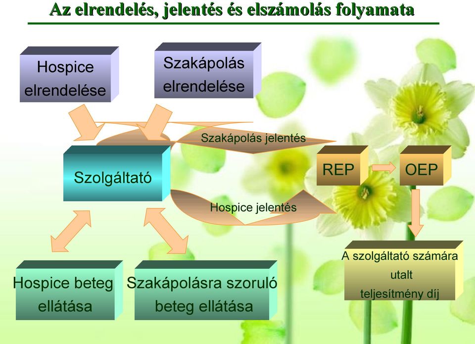 Szolgáltató REP OEP Hospice jelentés Hospice beteg ellátása