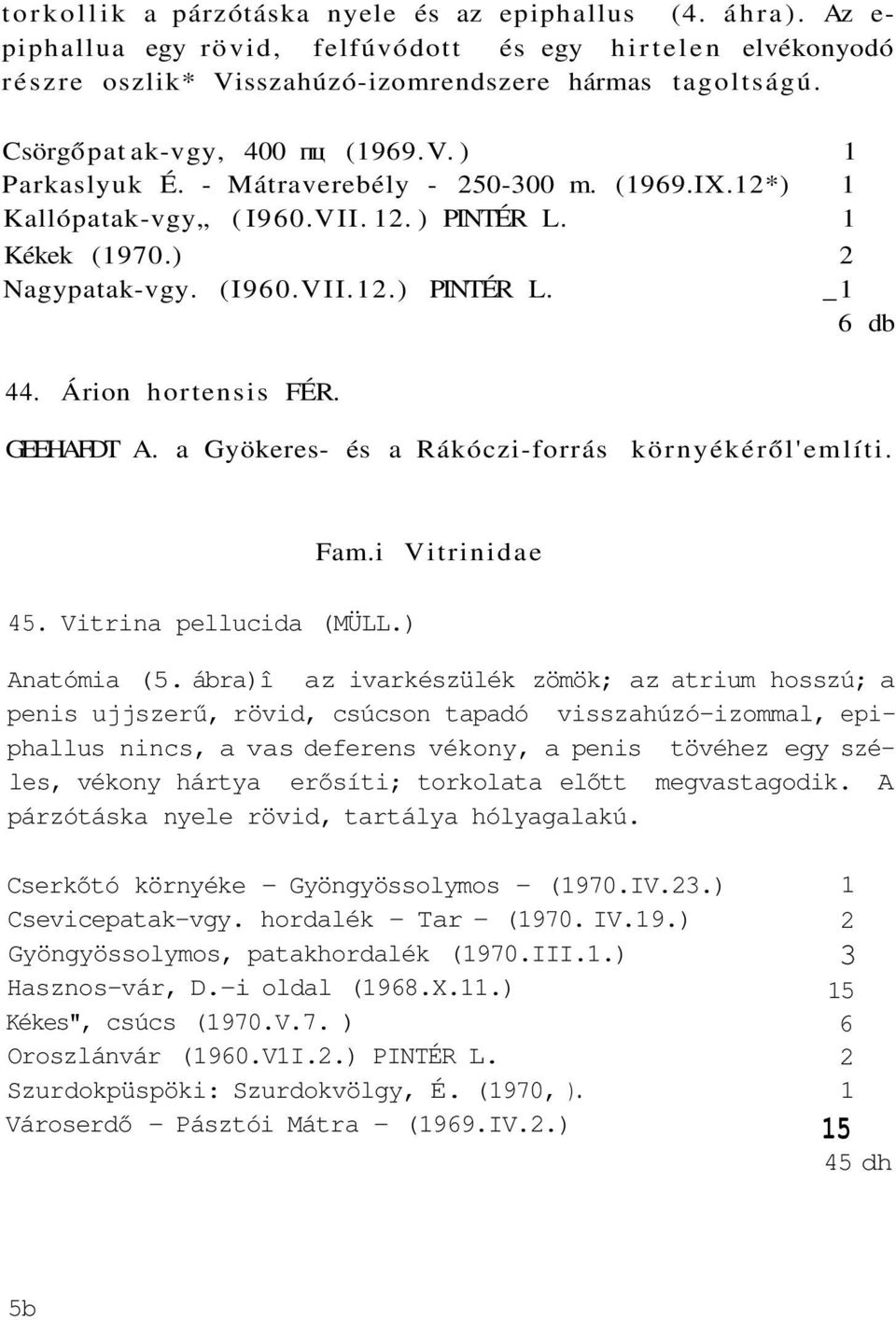 Árion hortensis FÉR. GEEHAFDT A. a Gyökeres- és a Rákóczi-forrás környékéről'említi. 45. Vitrina pellucida (MÜLL.) Fam.i Vitrinidae Anatómia (5.