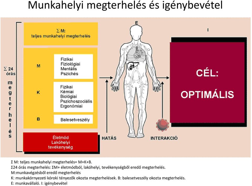 M:munkavégzésből eredő megterhelés K: munkakörnyezeti kóroki tényezők okozta