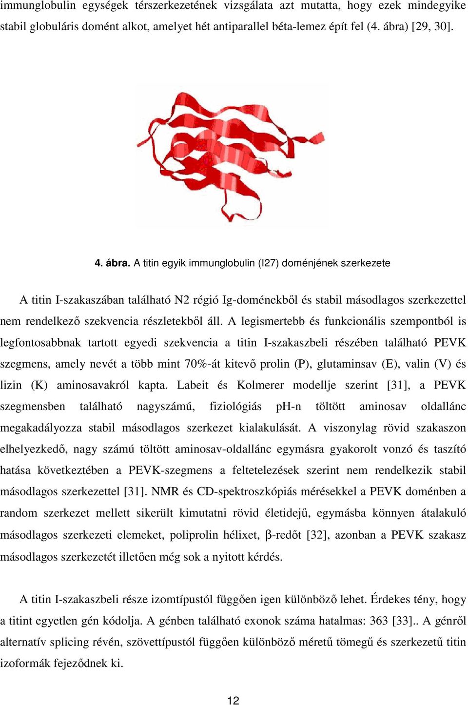 A titin egyik immunglobulin (I27) doménjének szerkezete A titin I-szakaszában található N2 régió Ig-doménekből és stabil másodlagos szerkezettel nem rendelkező szekvencia részletekből áll.