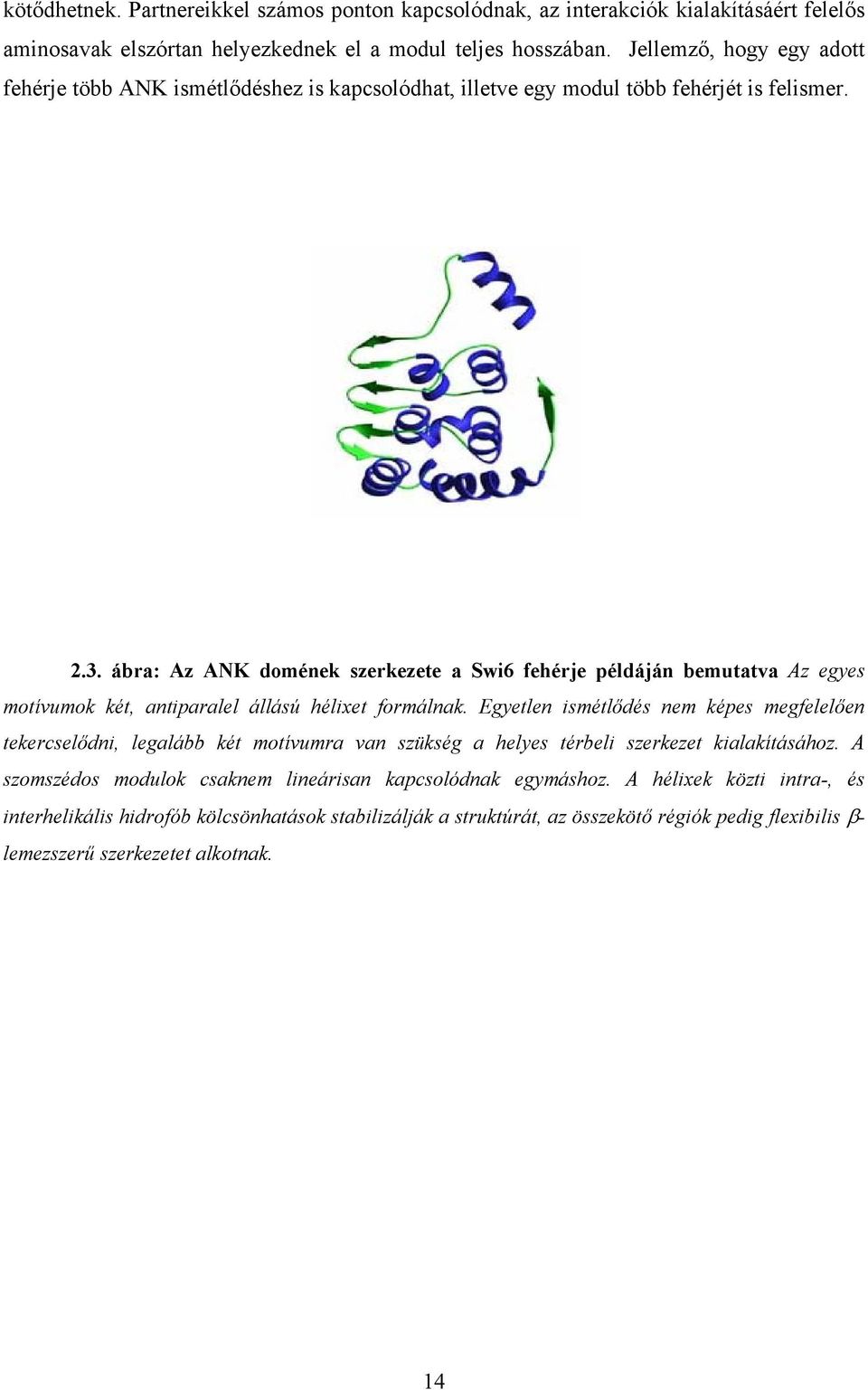ábra: Az ANK domének szerkezete a Swi6 fehérje példáján bemutatva Az egyes motívumok két, antiparalel állású hélixet formálnak.