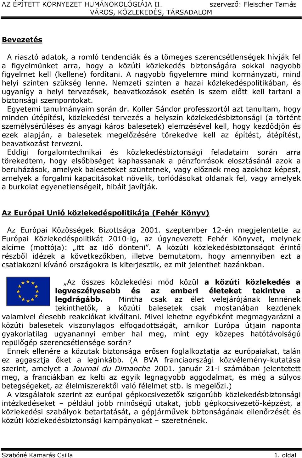 Nemzeti szinten a hazai közlekedéspolitikában, és ugyanígy a helyi tervezések, beavatkozások esetén is szem előtt kell tartani a biztonsági szempontokat. Egyetemi tanulmányaim során dr.