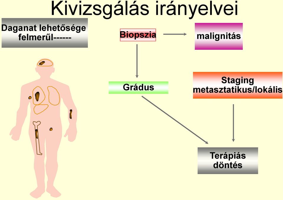 Biopszia malignitás Grádus