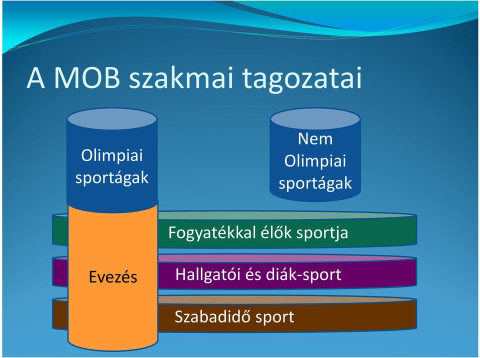 Fogyatékkal élők sportja Evezés