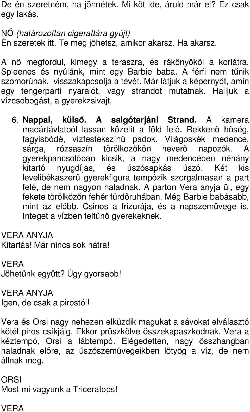 Már látjuk a képernyőt, amin egy tengerparti nyaralót, vagy strandot mutatnak. Halljuk a vízcsobogást, a gyerekzsivajt. 6. Nappal, külső. A salgótarjáni Strand.