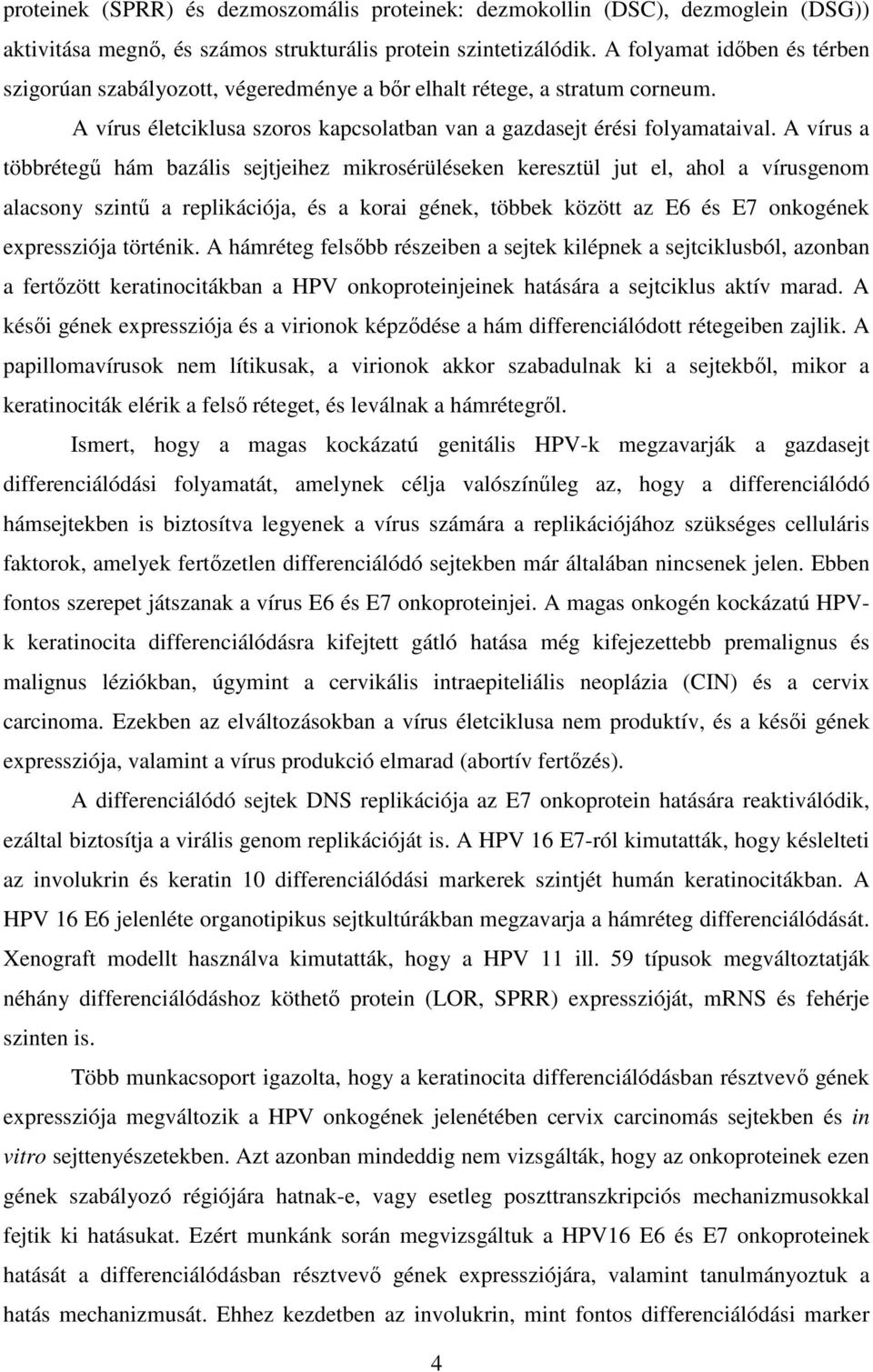 A vírus a többrétegű hám bazális sejtjeihez mikrosérüléseken keresztül jut el, ahol a vírusgenom alacsony szintű a replikációja, és a korai gének, többek között az E6 és E7 onkogének expressziója