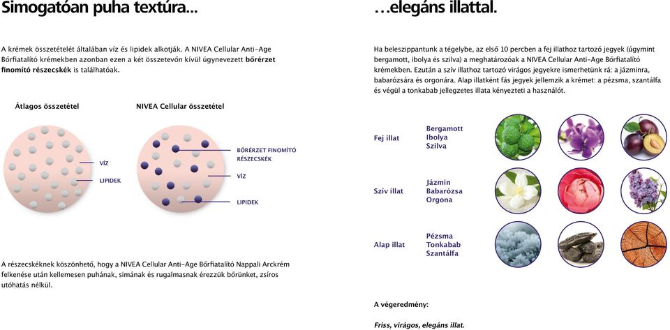 Ha beleszippantunk a tégelybe, az első 10 percben a fej illathoz tartozó jegyek (úgymint bergamott, ibolya és szilva) a meghatározóak a NIVEA Cellular Anti-Age Bőrfiatalító krémekben.