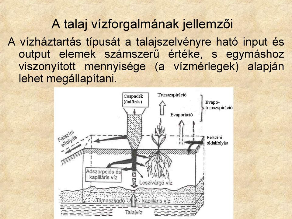 elemek számszerű értéke, s egymáshoz viszonyított