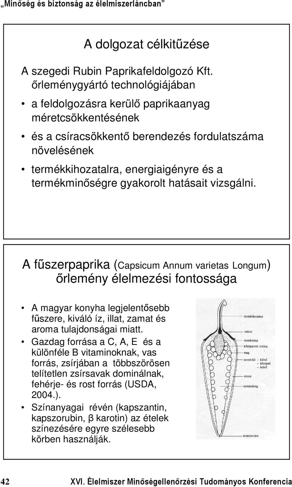 gyakorolt hatásait vizsgálni.