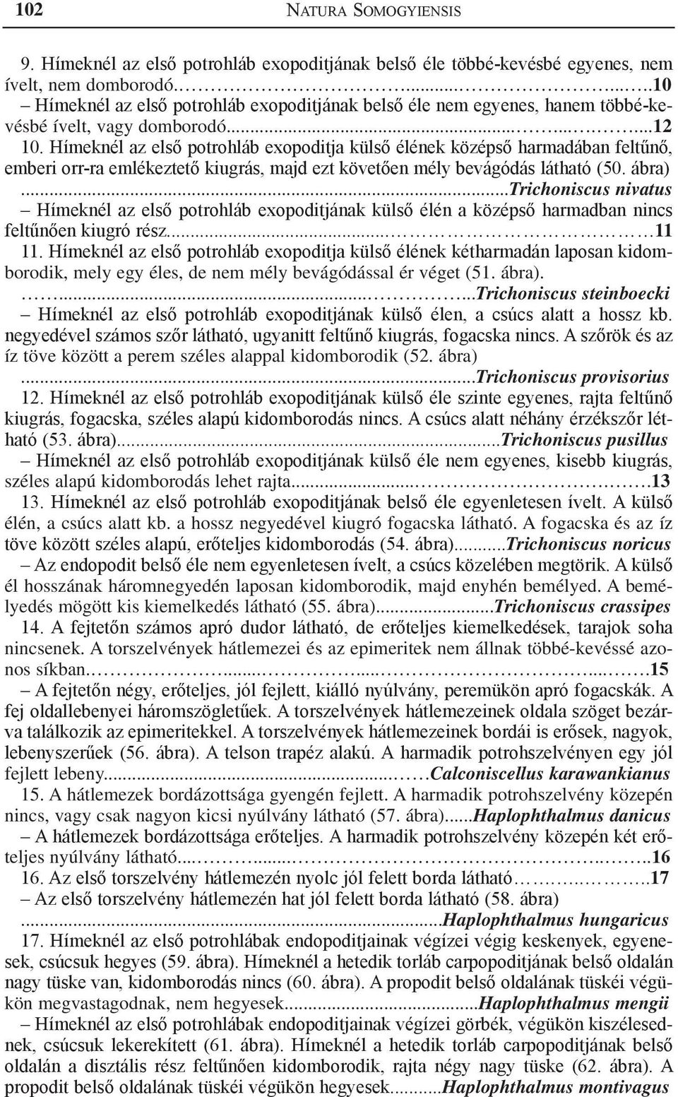 Hímeknél az első potrohláb exopoditja külső élének középső harmadában feltűnő, emberi orr-ra emlékeztető kiugrás, majd ezt követően mély bevágódás látható (50. ábra).