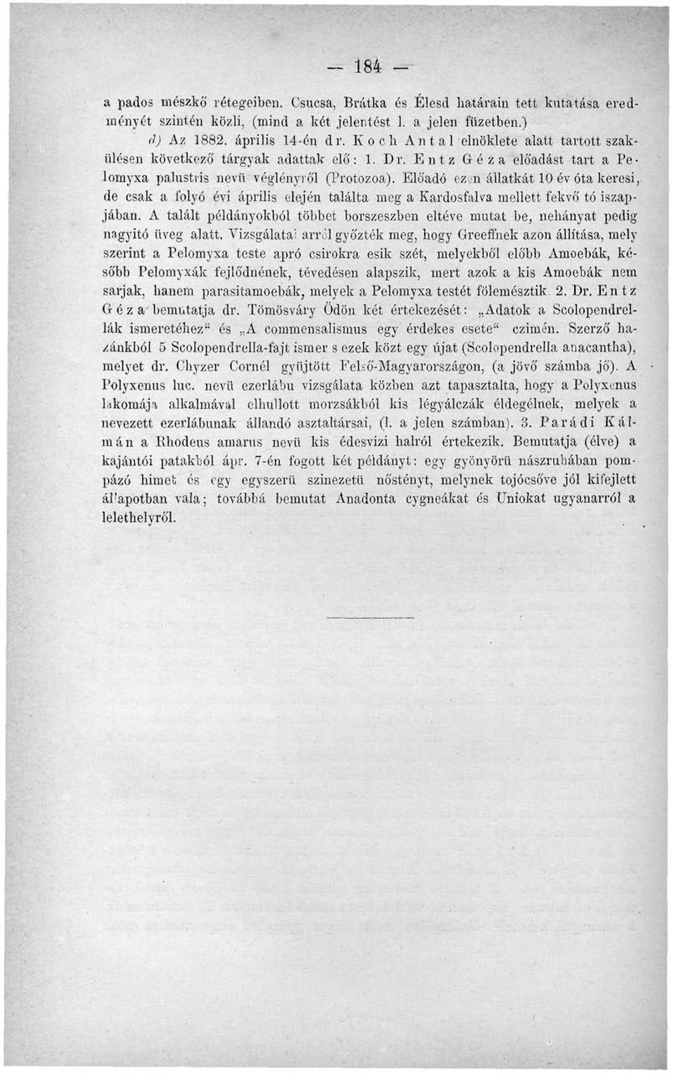 Előadó ezen állatkát 10 év óta keresi, de csak a folyó évi április elején találta meg a Kardosfalva mellett fekvő tó iszapjában.