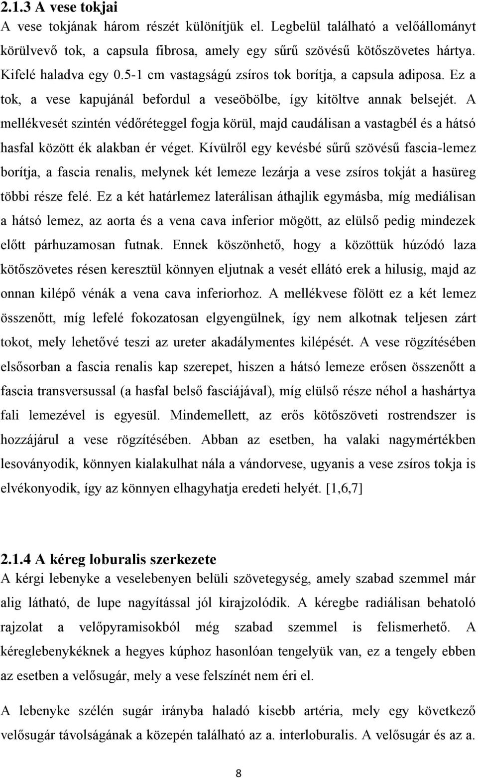 A mellékvesét szintén védőréteggel fogja körül, majd caudálisan a vastagbél és a hátsó hasfal között ék alakban ér véget.