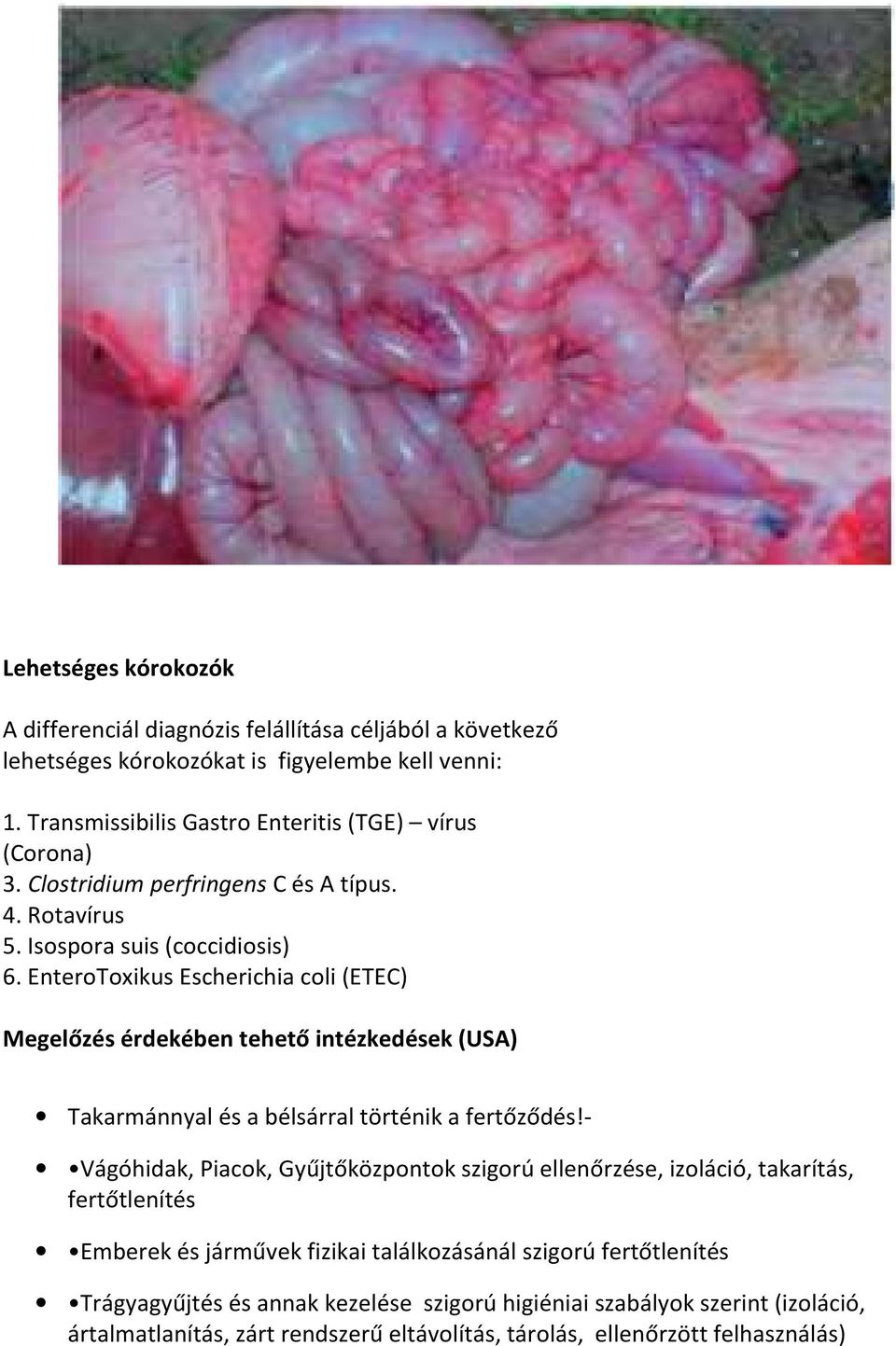 EnteroToxikus Escherichia coli (ETEC) Megelőzés érdekében tehető intézkedések (USA) Takarmánnyal és a bélsárral történik a fertőződés!