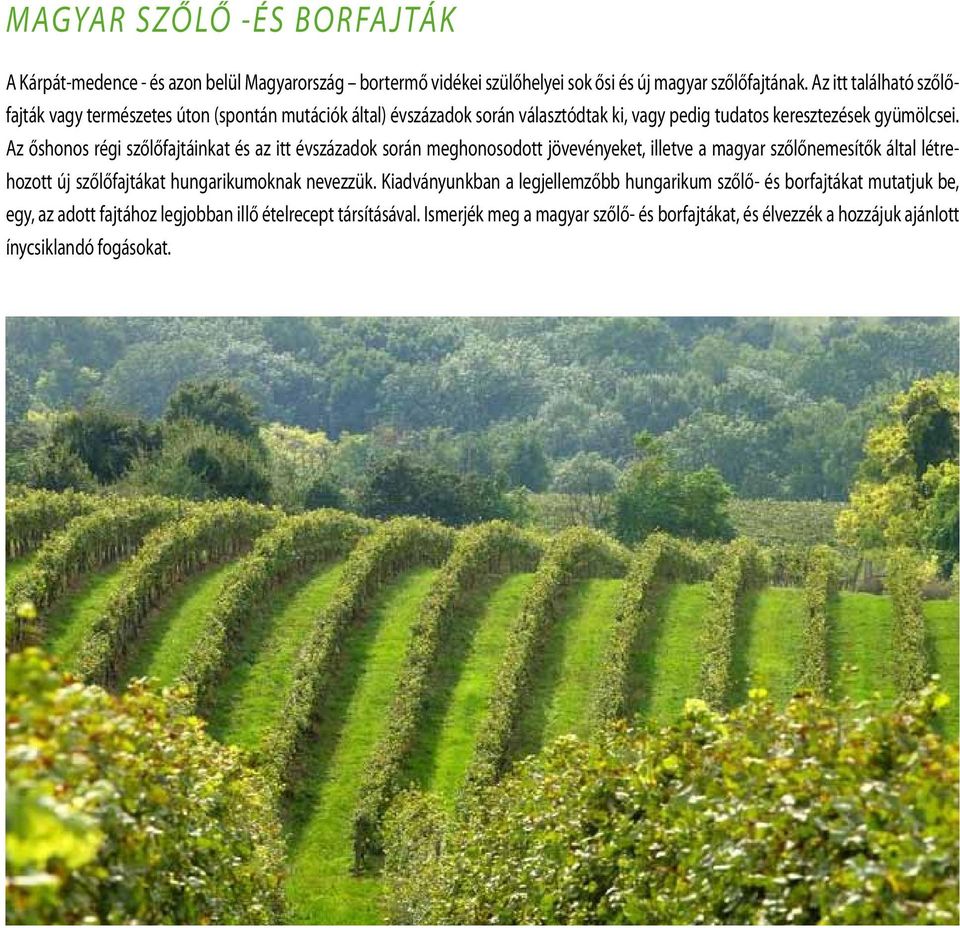 Az őshonos régi szőlőfajtáinkat és az itt évszázadok során meghonosodott jövevényeket, illetve a magyar szőlőnemesítők által létrehozott új szőlőfajtákat hungarikumoknak nevezzük.