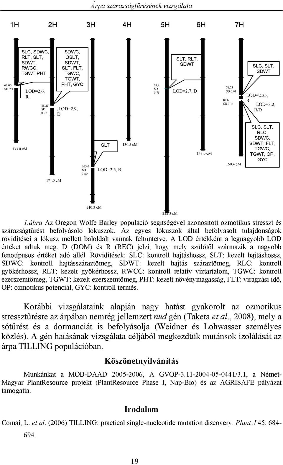 3 cm 1.ábra Az Oregon Wolfe Barley populáció segítségével azonosított ozmotikus stresszt és szárazságtűrést befolyásoló lókuszok.
