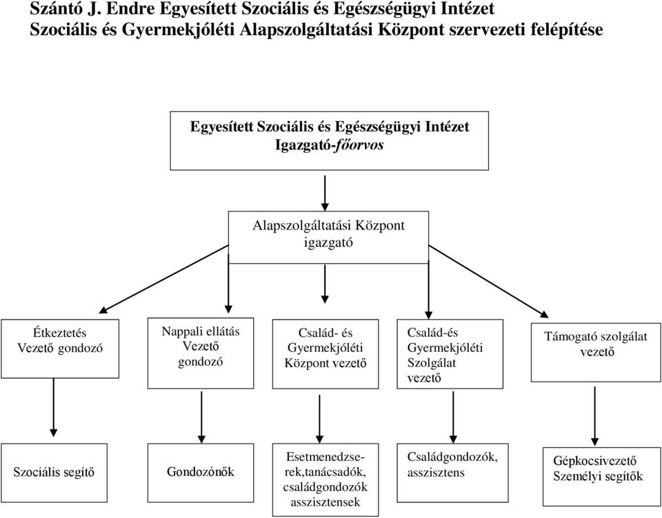 Szociális és Egészségügyi Intézet Igazgató-főorvos Alapszolgáltatási Központ igazgató Étkeztetés Vezető gondozó Nappali ellátás Vezető