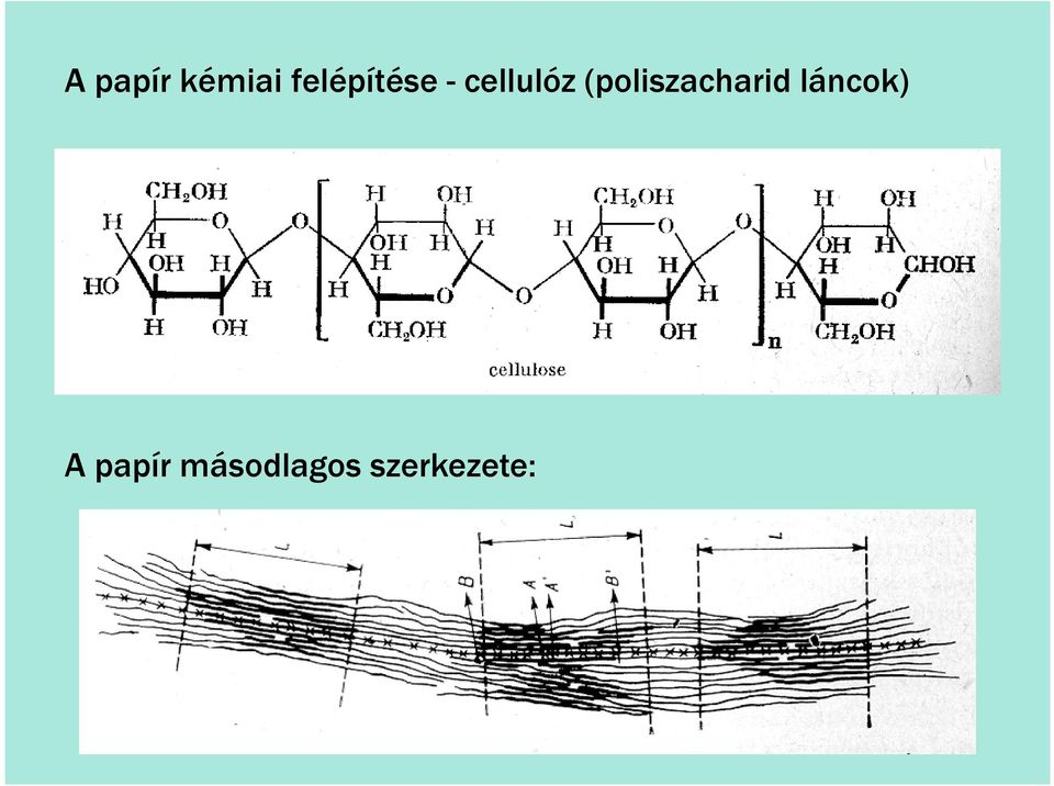 (poliszacharid láncok)