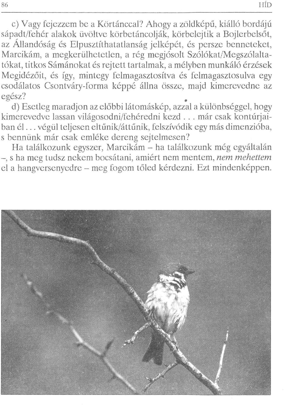 megkerülhetetlen, a rég megjósolt Szólókat/Megszólaltatókat, titkos Sámánokat és rejtett tartalmak, a mélyben munkáló érzések Megidézőit, és így, mintegy felmagasztosítva és felmagasztosulva egy