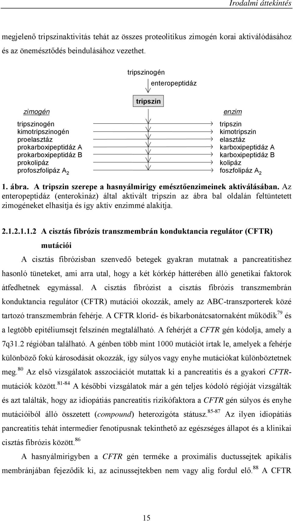 B prokolipáz kolipáz profoszfolipáz A 2 foszfolipáz A 2 1. ábra. A tripszin szerepe a hasnyálmirigy emésztőenzimeinek aktiválásában.