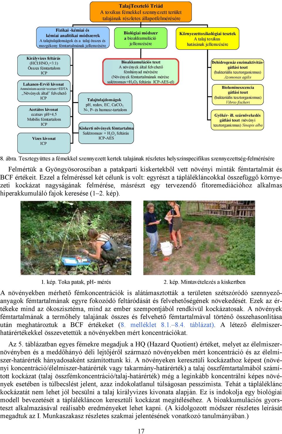 fémtartalom ICP Lakanen-Erviö kivonat Ammónium-acetát+ecetsav+EDTA Növények által felvehet/ ICP Acetátos kivonat ecetsav ph=4,5 Mobilis fémtartalom ICP Vizes kivonat ICP Bioakkumulációs teszt A