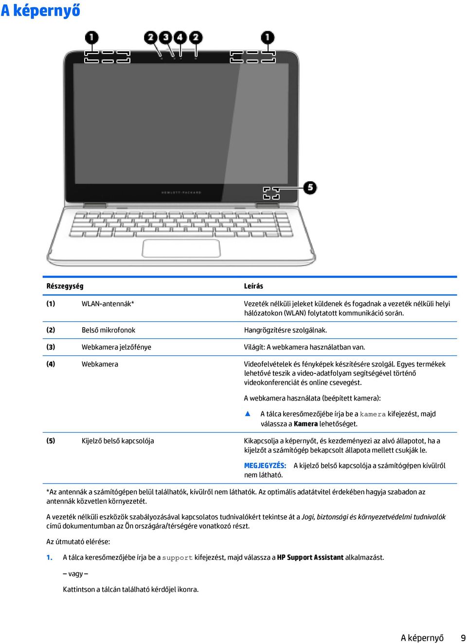 Egyes termékek lehetővé teszik a video-adatfolyam segítségével történő videokonferenciát és online csevegést.