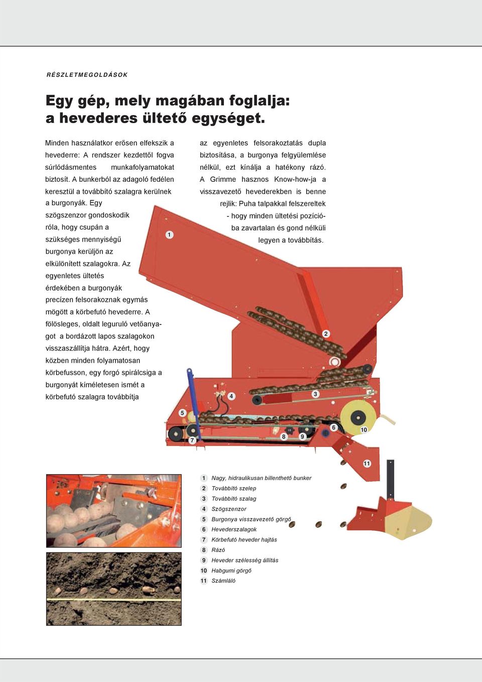 Az egyenletes ültetés érdekében a burgonyák precízen felsorakoznak egymás mögött a körbefutó hevederre. A fölösleges, oldalt leguruló vetőanyagot a bordázott lapos szalagokon visszaszállítja hátra.