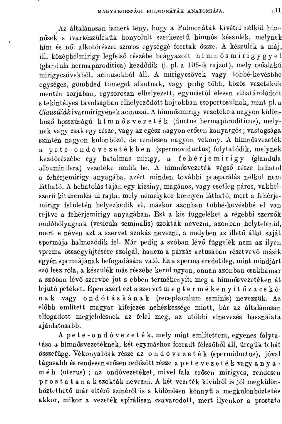 A készülék a máj, ill. középbélmirigy legfelső részébe beágyazott hí m nősmirigygyei (glandula hermaphroditica) kezdődik (1. pl. a 105-ik rajzot), mely csőalakú mirigy csövek bői, acinusokból áll.