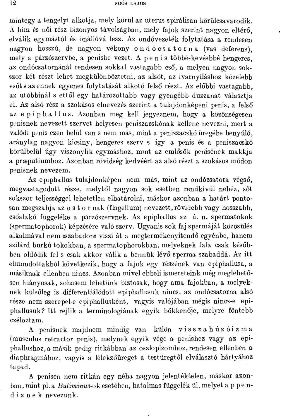 A penis többé-kevésbbé hengeres, az ondócsatománál rendesen sokkal vastagabb cső, a melyen nagyon sokszor két részt lehet megkülönböztetni, az alsót, az ivarnyíláshoz közelebb esőt s az ennek egyenes