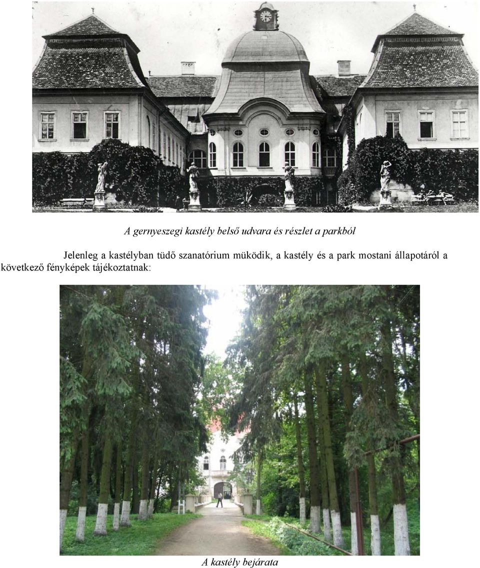müködik, a kastély és a park mostani állapotáról