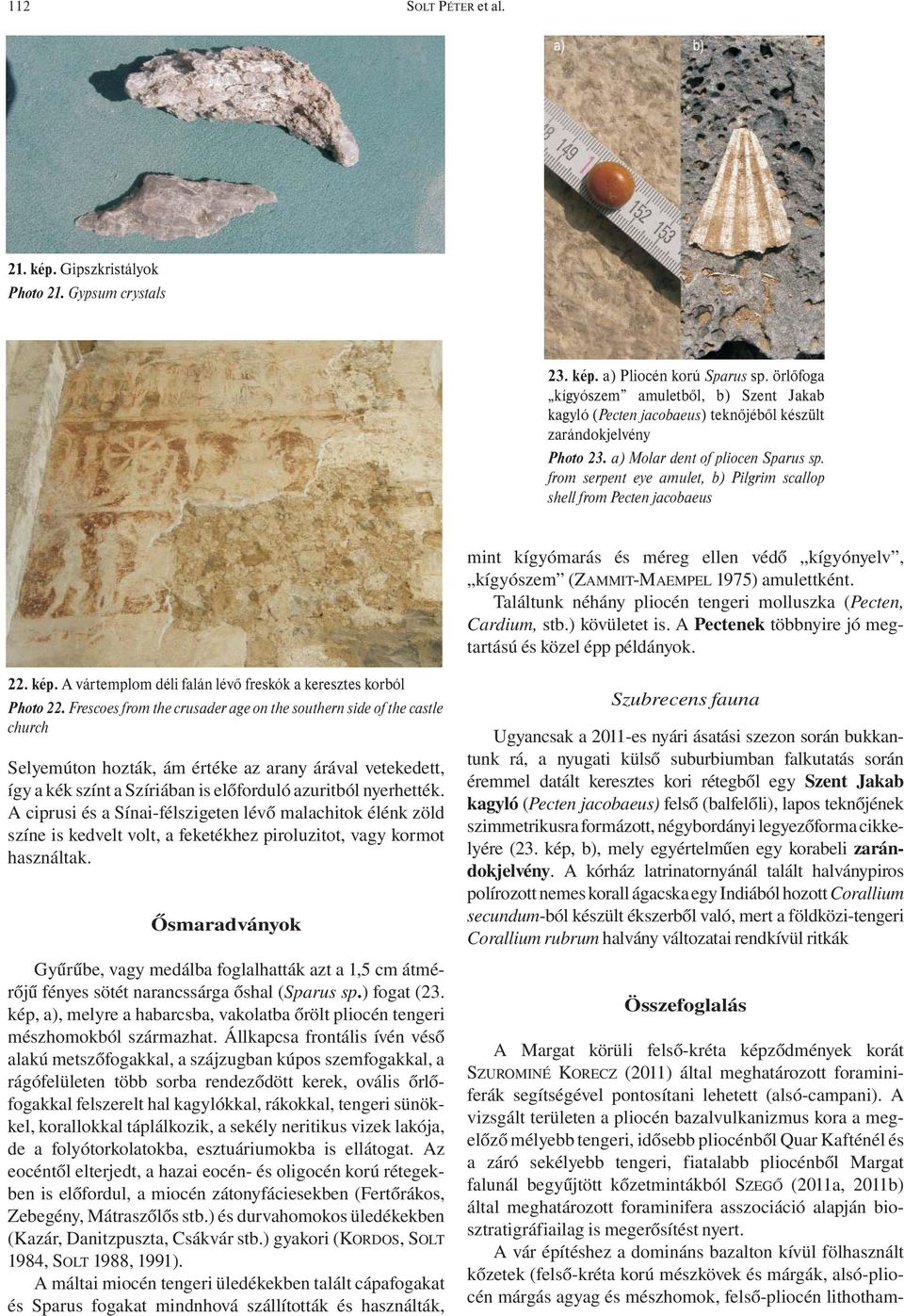 from serpent eye amulet, b) Pilgrim scallop shell from Pecten jacobaeus mint kígyómarás és méreg ellen védő kígyónyelv, kígyószem (ZAMMIT-MAEMPEL 1975) amulettként.