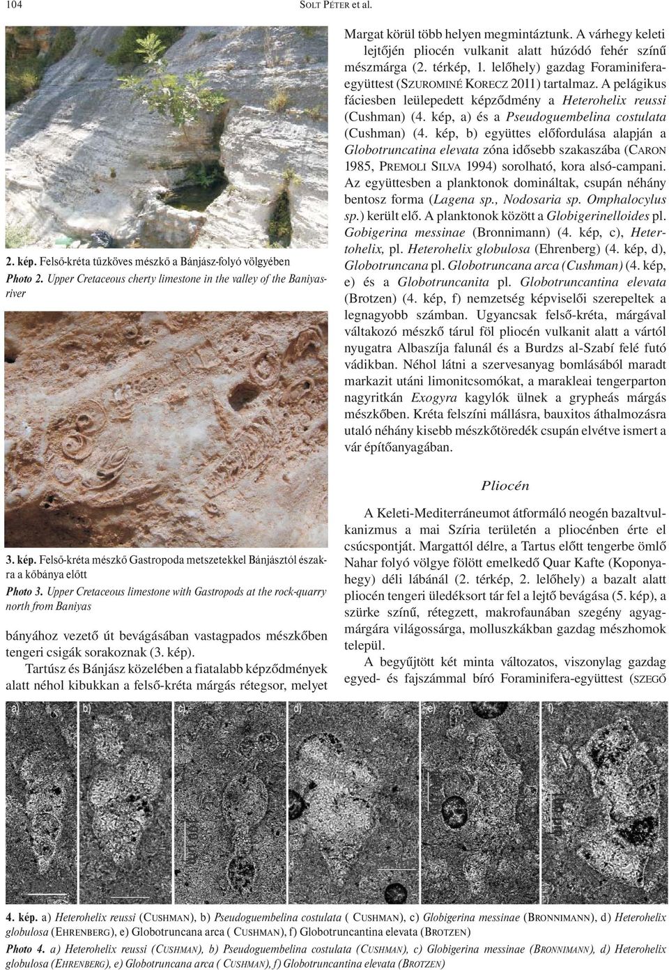 A pelágikus fáciesben leülepedett képződmény a Heterohelix reussi (Cushman) (4. kép, a) és a Pseudoguembelina costulata (Cushman) (4.
