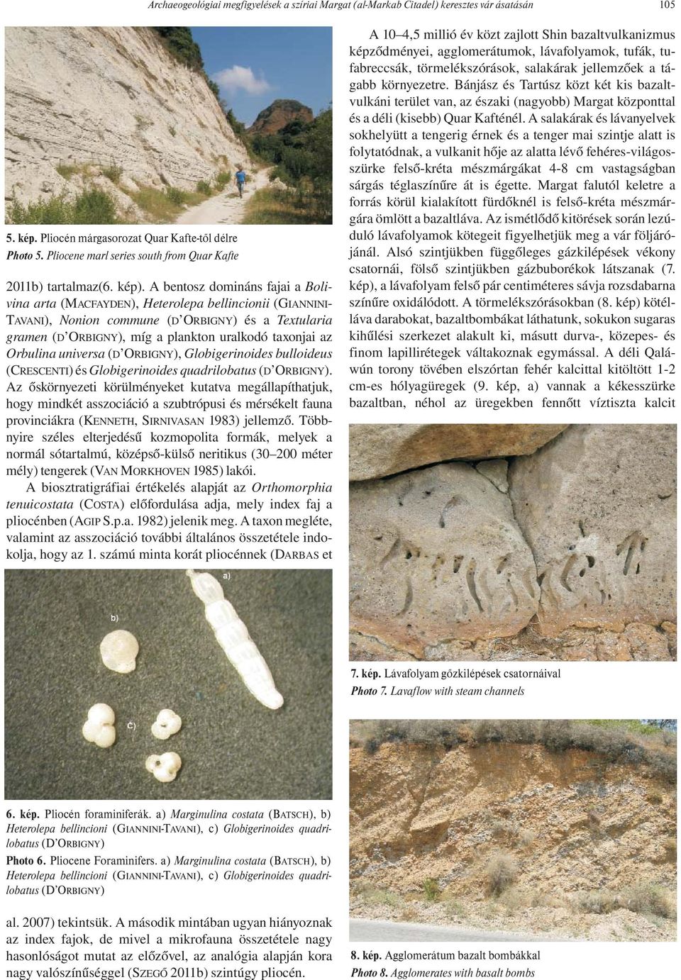 A bentosz domináns fajai a Bolivina arta (MACFAYDEN), Heterolepa bellincionii (GIANNINI- TAVANI), Nonion commune (D ORBIGNY) és a Textularia gramen (D ORBIGNY), míg a plankton uralkodó taxonjai az