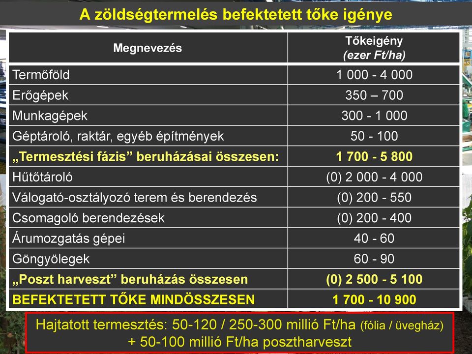 berendezés (0) 200-550 Csomagoló berendezések (0) 200-400 Árumozgatás gépei 40-60 Göngyölegek 60-90 Poszt harveszt beruházás összesen (0) 2 500-5